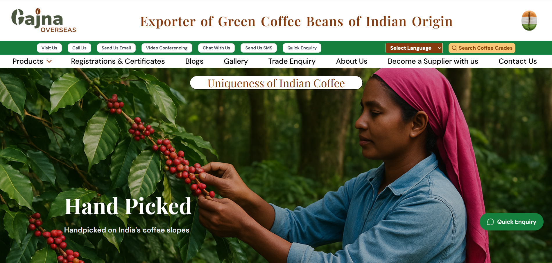 Gajna Overseas website