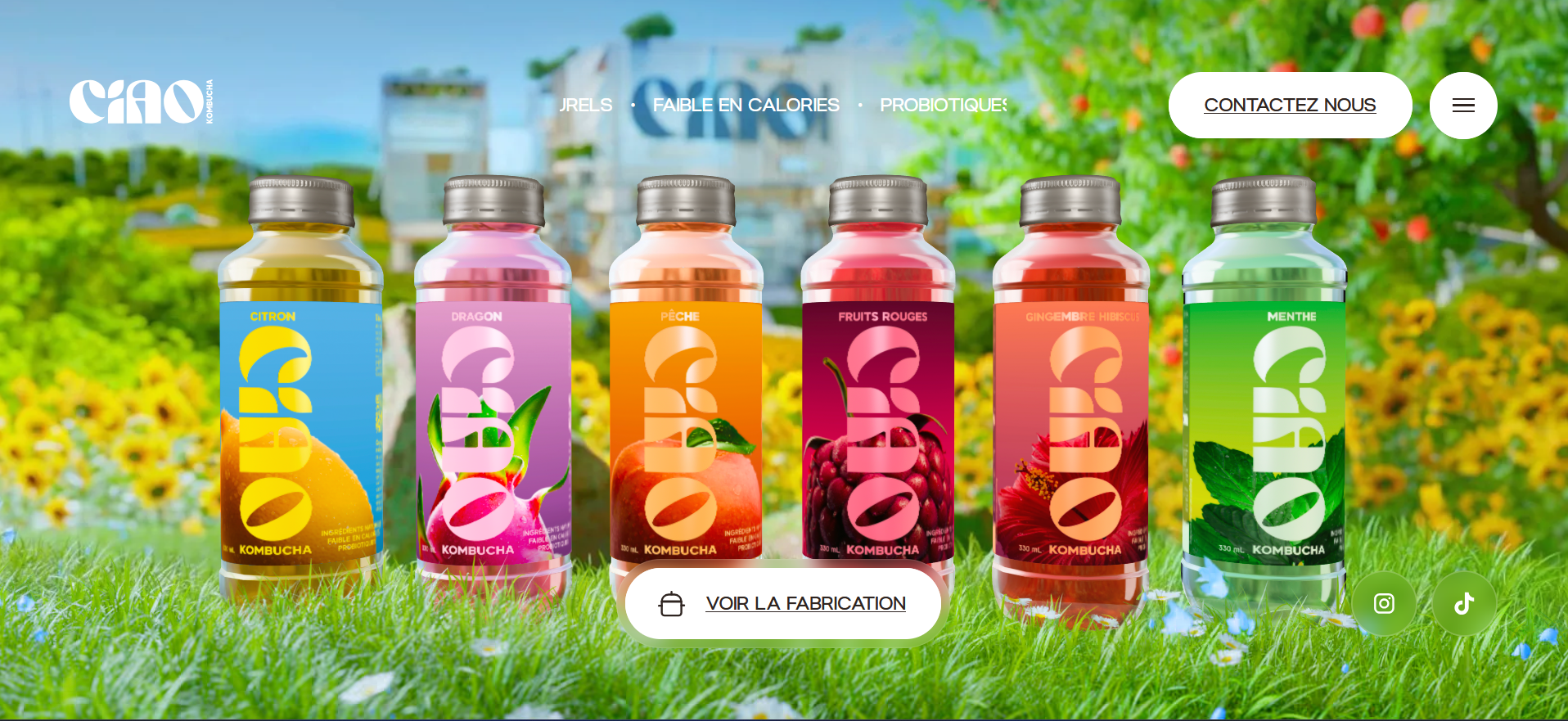 CIAO! interface